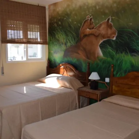 Guest house Plaza San Pedro