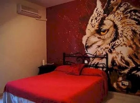 Guest house Plaza San Pedro