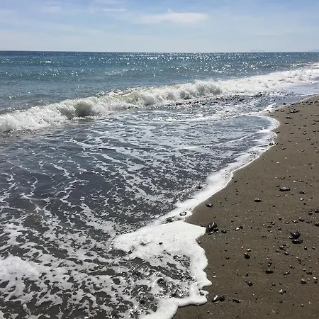 招待所 圣佩德罗广场旅馆 马尔韦利亚