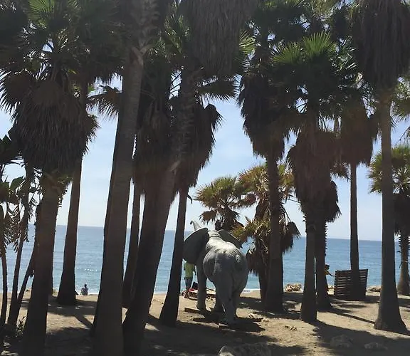 Konukevi Plaza San Pedro *